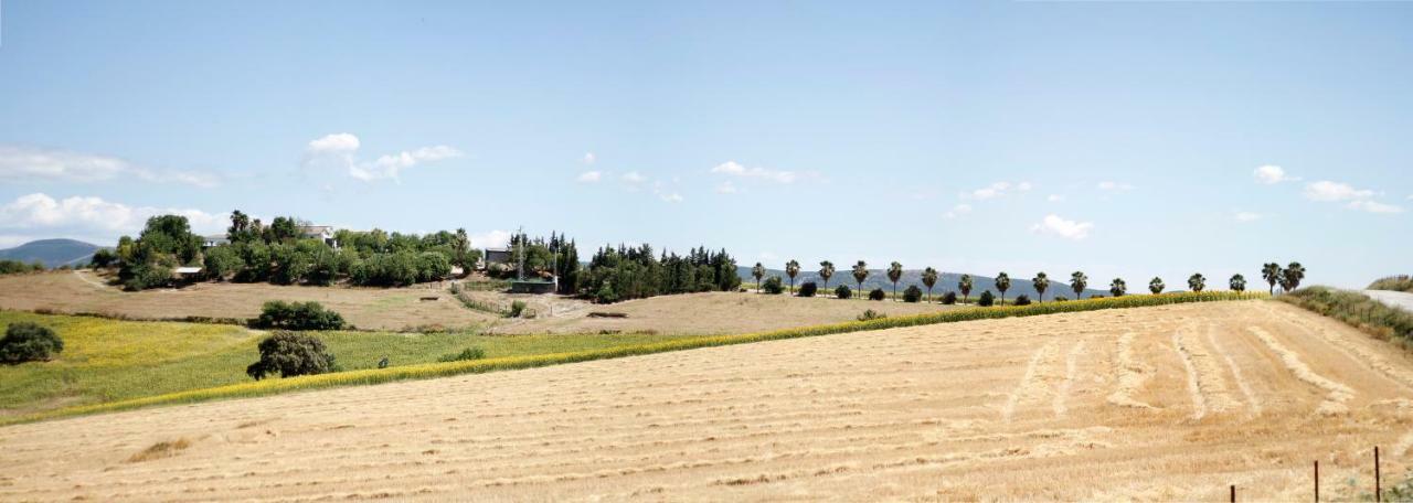 Villa Cortijo con piscina a 30 min de Jerez Arcos de la Frontera Esterno foto