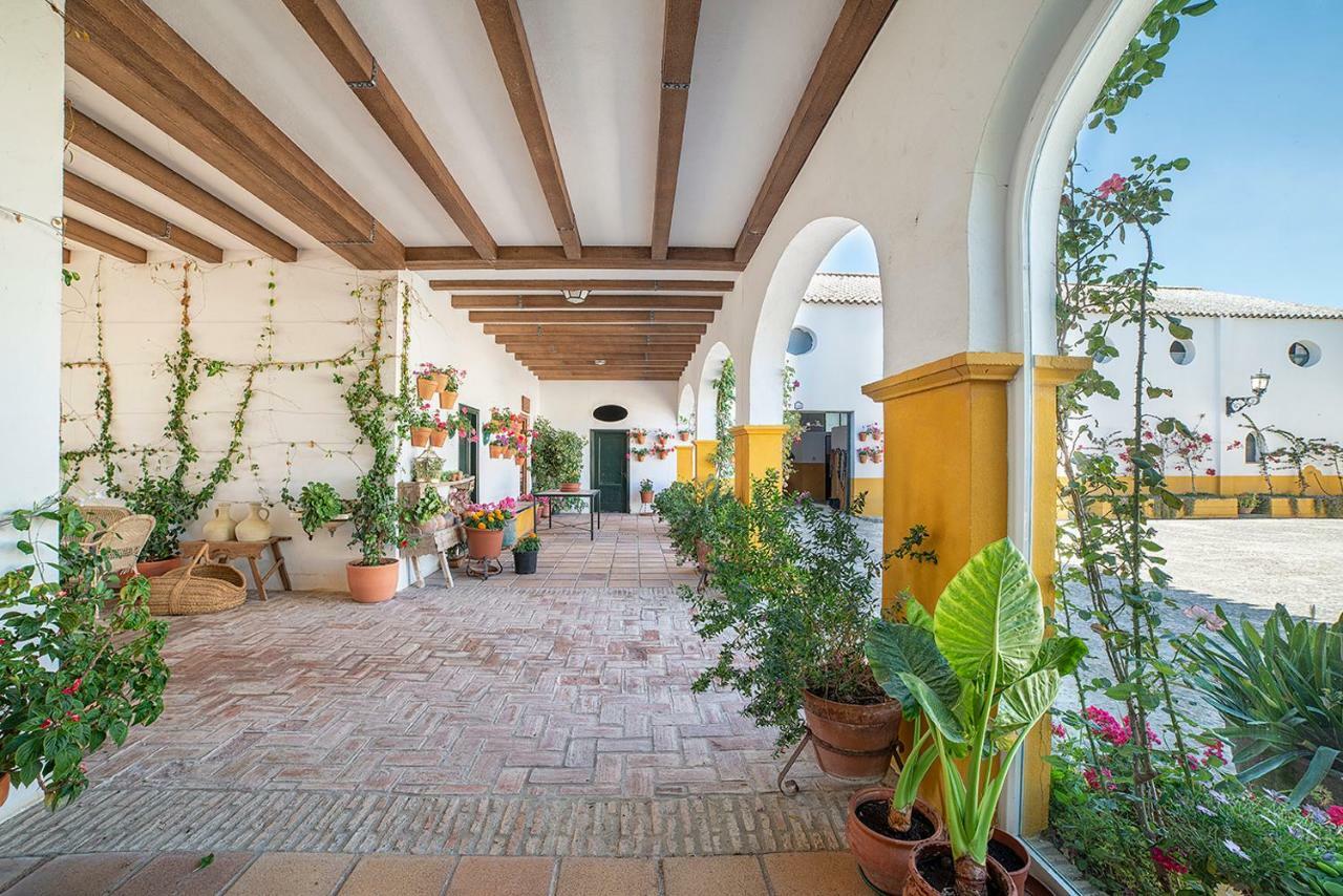 Villa Cortijo con piscina a 30 min de Jerez Arcos de la Frontera Esterno foto