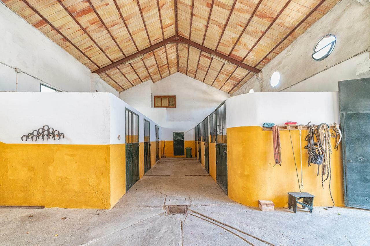 Villa Cortijo con piscina a 30 min de Jerez Arcos de la Frontera Esterno foto