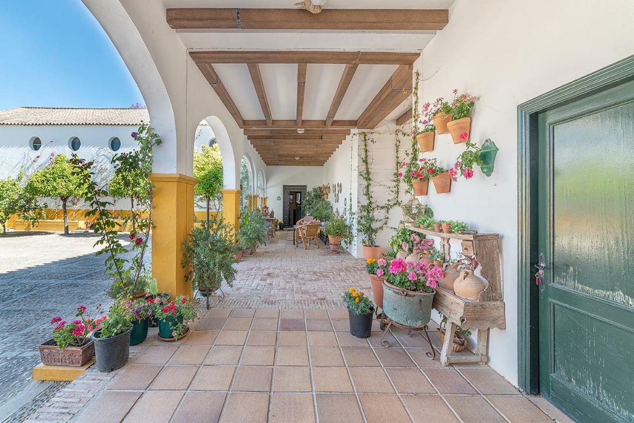 Villa Cortijo con piscina a 30 min de Jerez Arcos de la Frontera Esterno foto