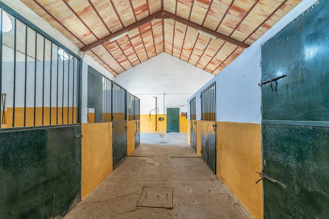Villa Cortijo con piscina a 30 min de Jerez Arcos de la Frontera Esterno foto