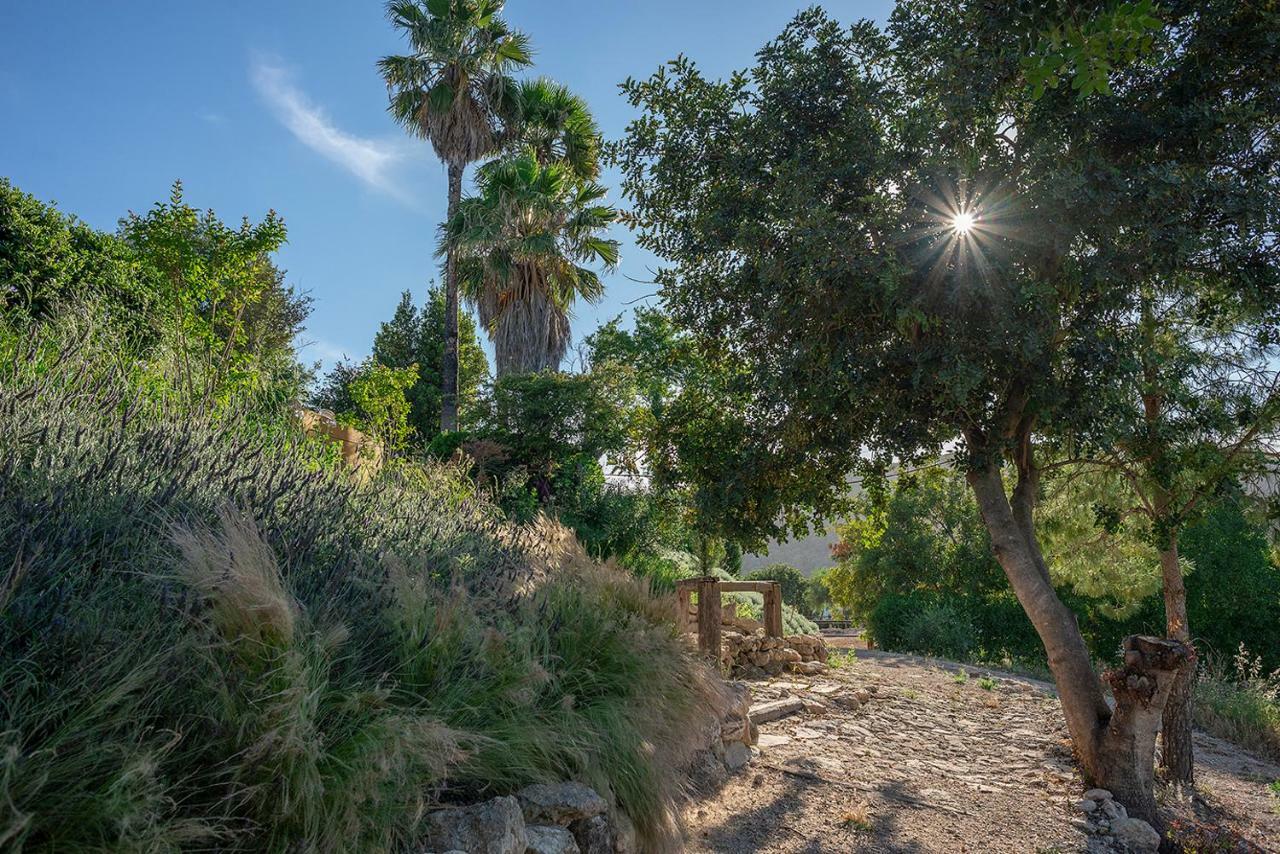 Villa Cortijo con piscina a 30 min de Jerez Arcos de la Frontera Esterno foto